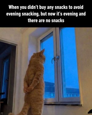 Image post by @9gag on Instagram