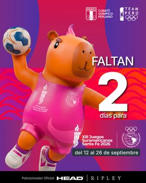 Image post by @copteamperu on Twitter/X