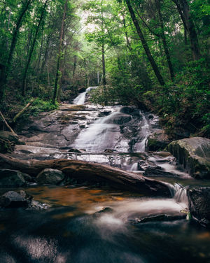 Image post by @wandernorthga on Instagram