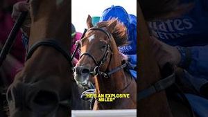 Video post by @worldhorseracing on YouTube