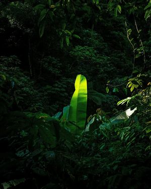 Image post by @dattmatt on Instagram