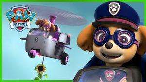 Video post by @pawpatrolofficial on YouTube