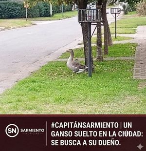 Image post by @pablocasassarmientonoticias on Instagram