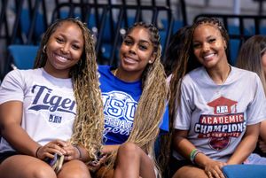 Image post by @gojsutigersvb on Instagram