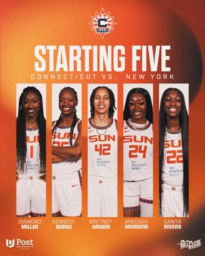 Image post by @ConnecticutSun on Twitter