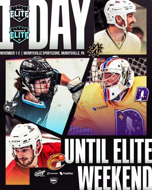 Image post by @nationalballhockeyleague on Instagram