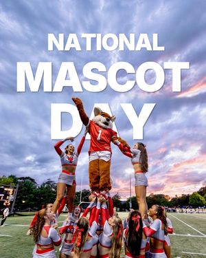 Video post by @marist on TikTok