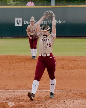 Image post by @elonsoftball on Instagram