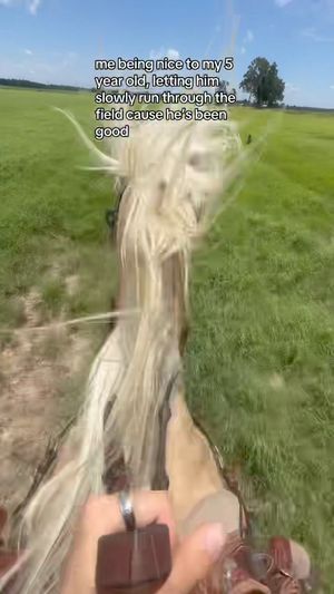 Video post by @326488683877065 on Facebook