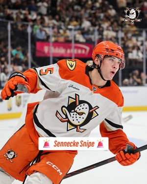 Image post by @anaheimducks on Instagram