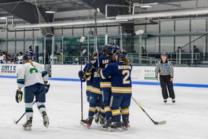 Image post by @su_whockey on Instagram