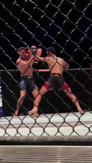 Video post by @ufc on TikTok
