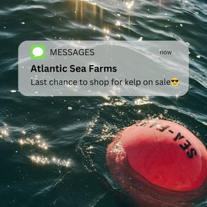 Image post by @atlanticseafarms on Instagram