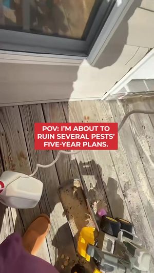 Video post by @ortho on TikTok