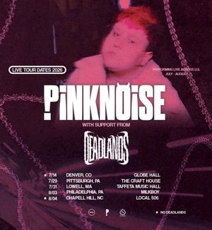 Video post by @pinkishnoise on TikTok