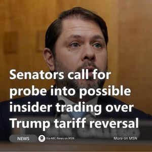 Image post by @msn on Instagram