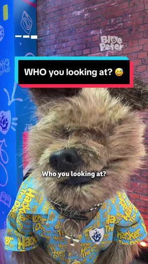 Video post by @cbbc on TikTok