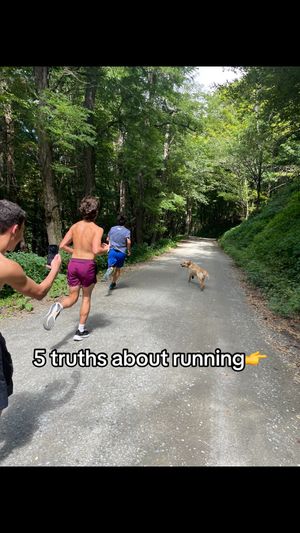 Video post by @perry._.b on TikTok