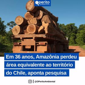 Image post by @operitoambiental on Instagram