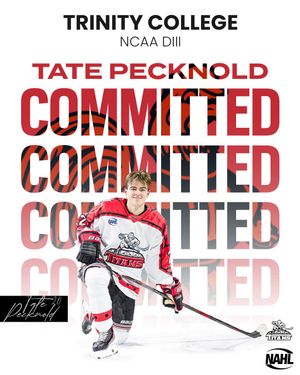Image post by @nahltitans on Instagram