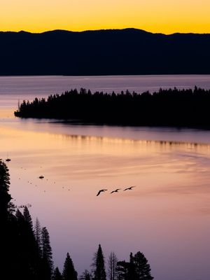 Image post by @fujifilmx_us on Instagram