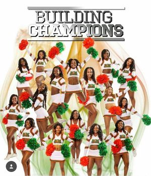 Image post by @famuathletics on Instagram