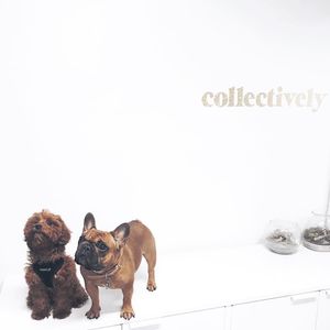 Image post by @collectivelyinc on Instagram
