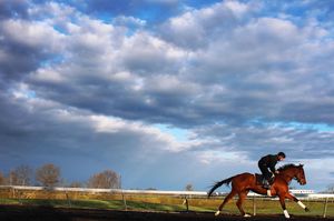 Image post by @michaelmreaves on Instagram