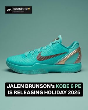 Image post by @soleretriever on Instagram