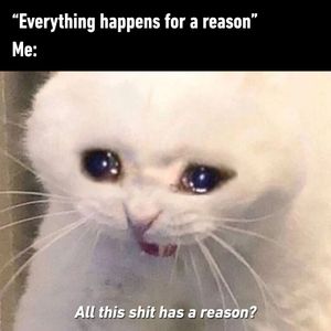 Image post by @9gag on Instagram