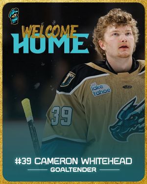 Image post by @knightmonsters on Instagram