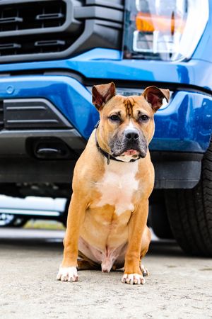 Image post by @paulmillerautooutlet on Instagram