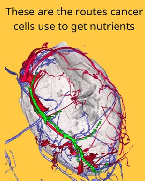 Image post by @biohub on Instagram