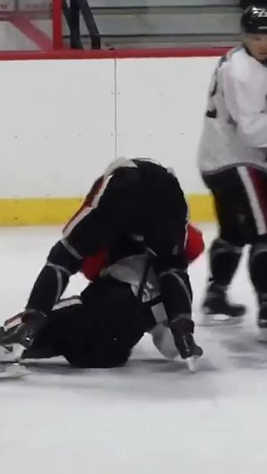 Image post by @hockeyfights on Instagram