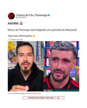 Image post by @colunadofla on Instagram