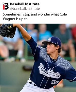 Image post by @baseball.institute on Instagram