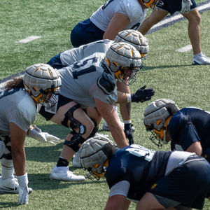 Image post by @augiefb on Instagram