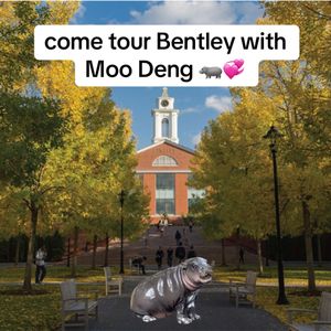 Video post by @bentleyu on TikTok