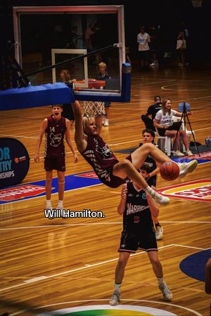 Video post by @redenergyarenabendigo on TikTok