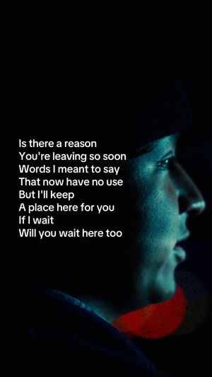 Video post by @shanrizwan on TikTok