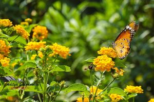 Image post by @aditya8gr8 on Instagram