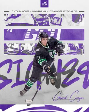 Image post by @lopeshockey on Instagram