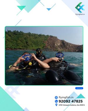 Image post by @flyingfishscuba on Instagram