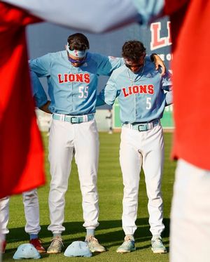 Image post by @lmulionsbsb on Instagram