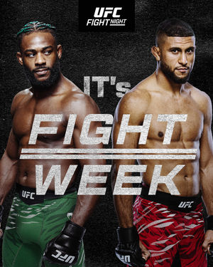 Image post by @ufc.japan on Instagram