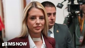 Video post by @msnbc on YouTube