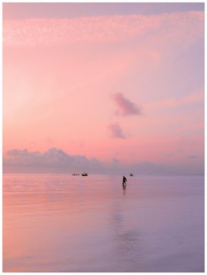 Image post by @alexkittoephotos on Instagram