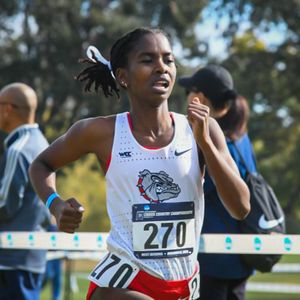 Image post by @ZagRunning on Twitter