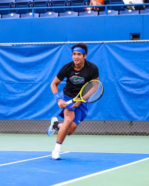 Image post by @GatorsMTN on Twitter