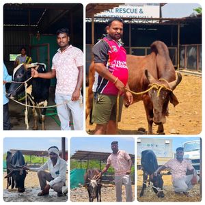 Image post by @hum_veersevak on Instagram
